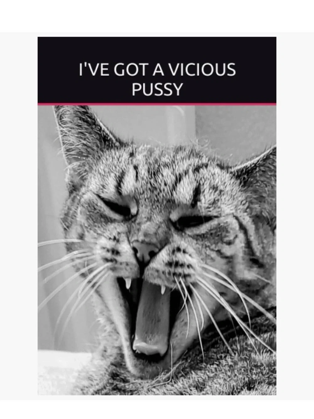 I’ve Got A Vicious P*ssy - Novelty Notebook